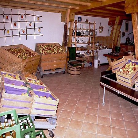 Ferienwohnung Aichem Radolfzell am Bodensee Εξωτερικό φωτογραφία