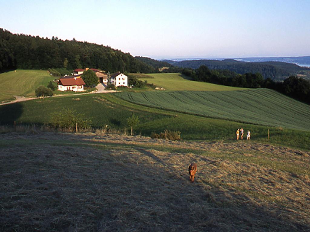 Ferienwohnung Aichem Radolfzell am Bodensee Εξωτερικό φωτογραφία